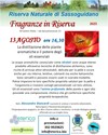13 Agosto 2025 distillazione.jpg