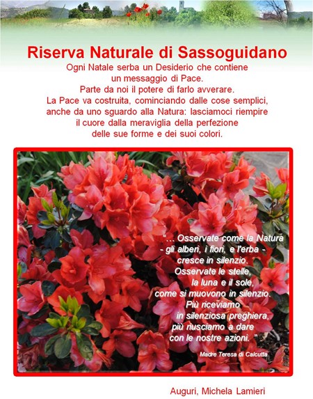 auguri 2010.jpg