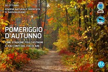 cover autunno sassoguidano 2022.jpg