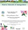 Erbe profumate e fiori 4luglio2021.jpg