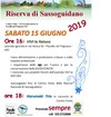 15 Giugno 2019.jpg