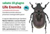 18 Giugno 2022 Life eremita.jpg