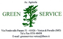 LOGO Green Service Verica.jpg