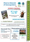 18 luglio 2025 insetti e cielo.jpg