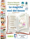 15 luglio LE MAGICHE VOCI NEL BOSCO.jpg